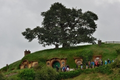 hobbiton_10