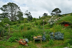hobbiton_30