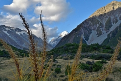 hooker_valley_track_02