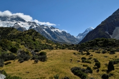 hooker_valley_track_03