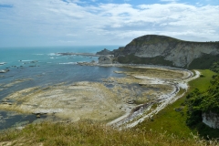 kaikoura_peninsula_02