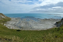 kaikoura_peninsula_03