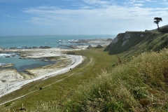kaikoura_peninsula_04