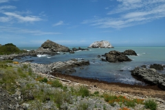 kaikoura_02