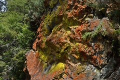 karangahake_gorge_01