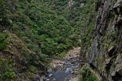 karangahake_gorge_05