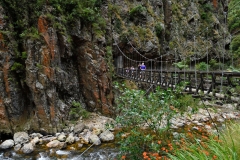 karangahake_gorge_08