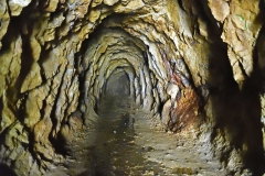 karangahake_gorge_09