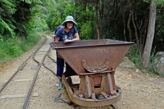 karangahake_gorge_10