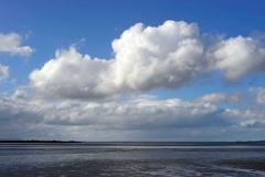 katikati_3