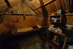 kauri_museum_2