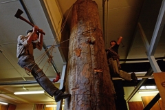 kauri_museum_4