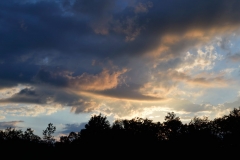 _DSC0187