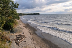 _DSC7455