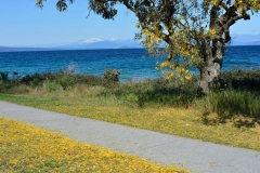 Taupo_04