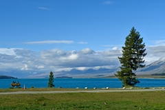 lake_tekapo_03