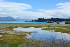 lake_tekapo_09