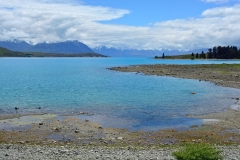 lake_tekapo_16