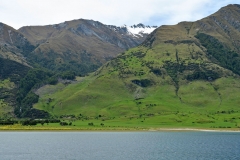 lake_hawea_05