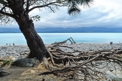 lake_pukaki_03