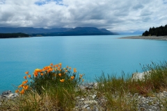 lake_pukaki_09