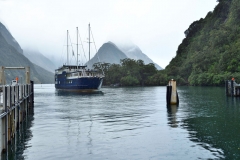 milford_sound_06