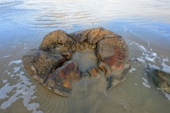 moeraki_boulders_05