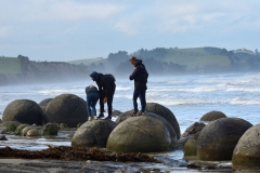 moeraki_boulders_11