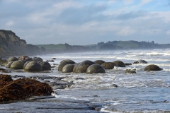 moeraki_boulders_15