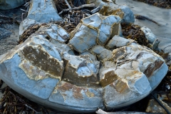moeraki_boulders_16