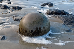 moeraki_boulders_18