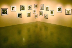 museum_of_contemporay_art_04