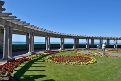 Napier_13