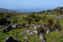 05_takaka_hills
