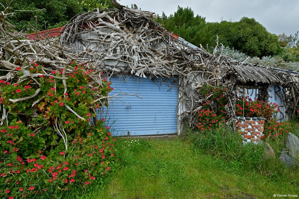otaotago_peninsula_2_07