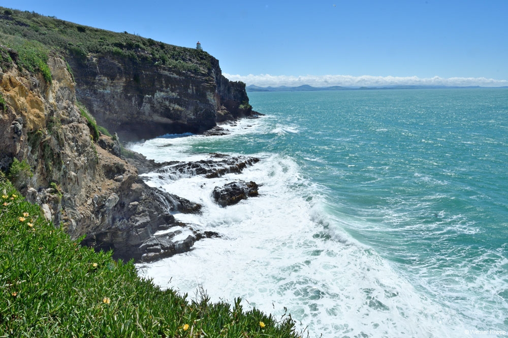 otaotago_peninsula_2_09