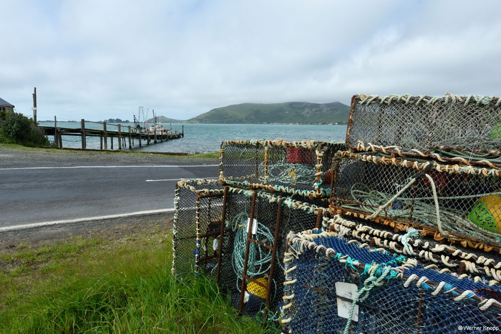 otaotago_peninsula_2_11