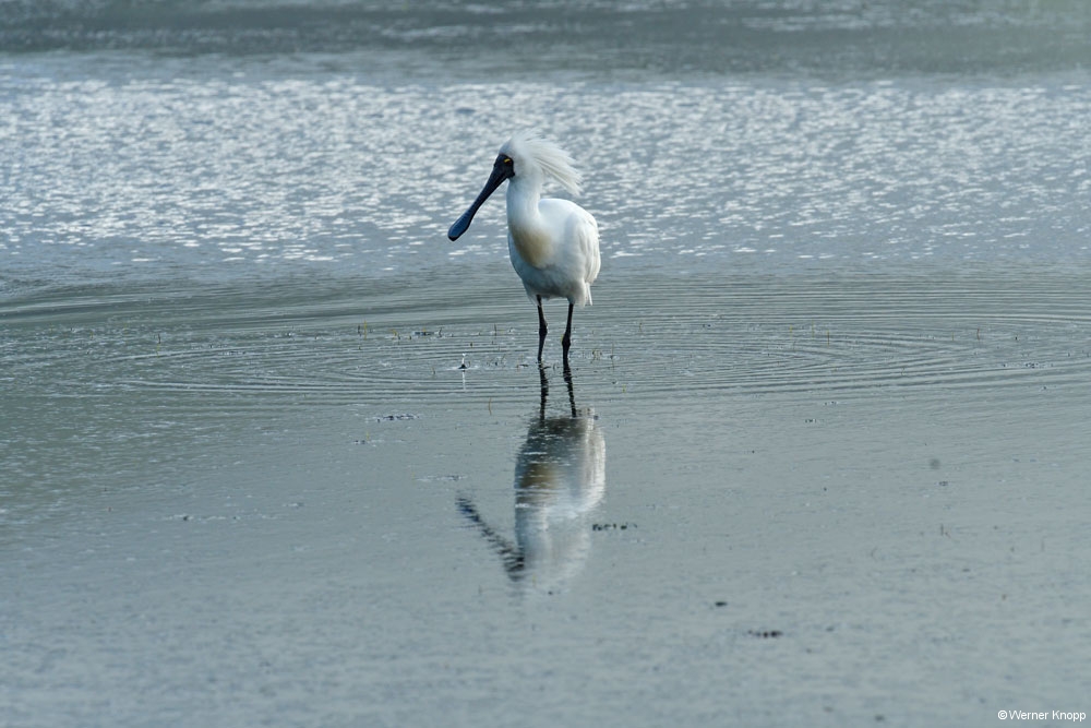 otaotago_peninsula_2_15