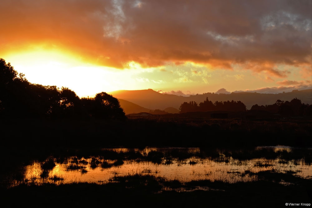 otaotago_peninsula_2_16