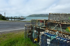 otaotago_peninsula_2_11