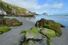 otaotago_peninsula_2_12