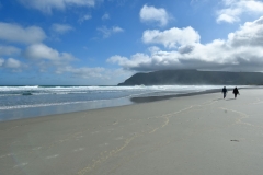 otaotago_peninsula_2_13