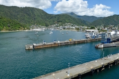 picton_01