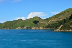 picton_07
