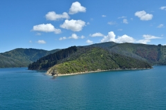 picton_09