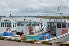 _DSC8848