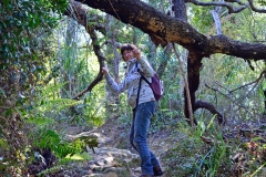 01_pupu_hydro_walkway