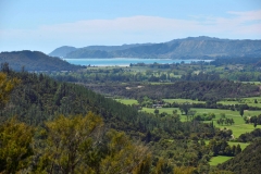 06_pupu_hydro_walkway