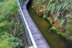 07_pupu_hydro_walkway