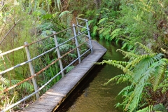 08_pupu_hydro_walkway